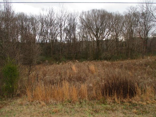 Highway 11 & County Rd 716: Highway 11 & County Rd 716, Riceville, TN 37370